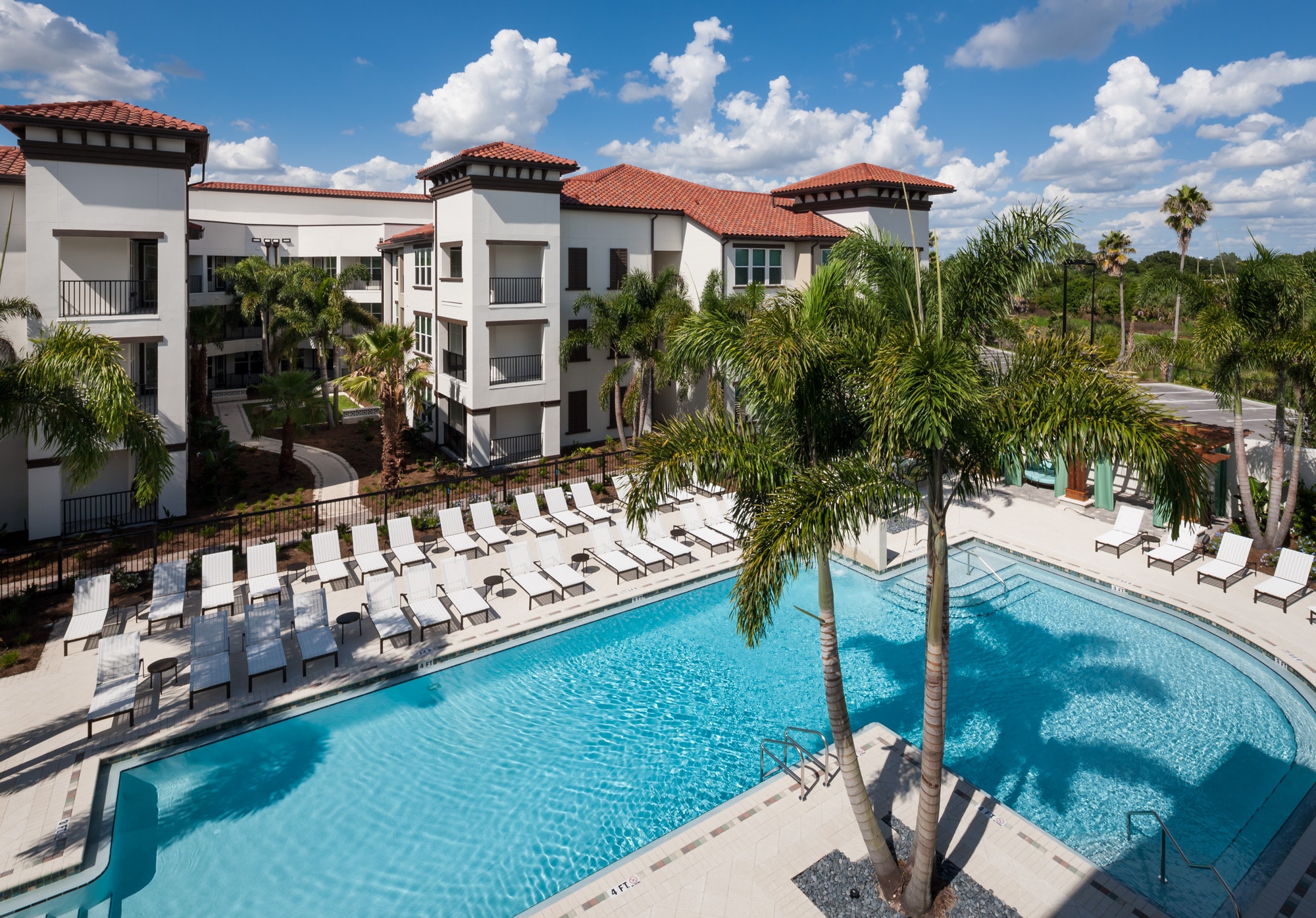 westshore resort style pool with chaise lounge chairs, palm trees, and view of apartment building and wooded area in the background - jefferson apartment group