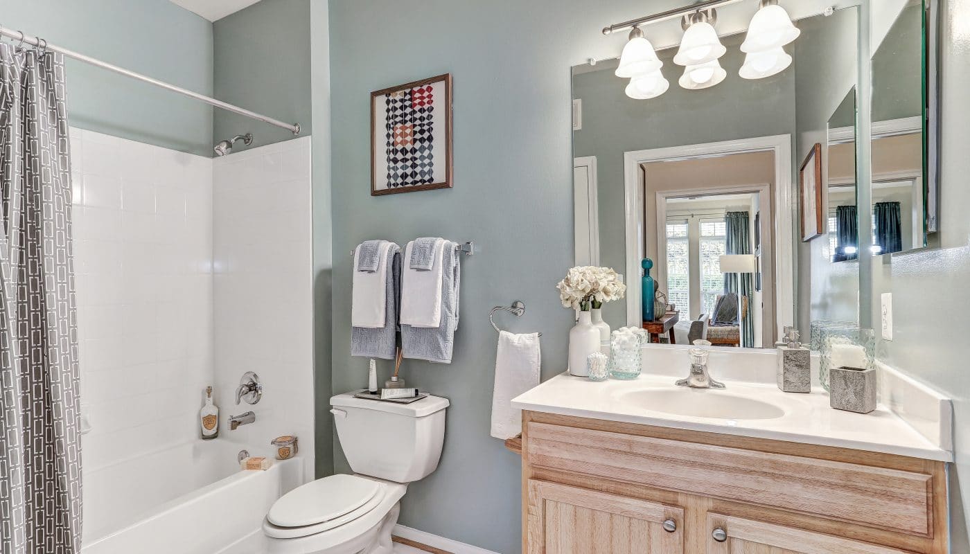 arbors at broadlands bathroom with tub, shower, quartz vanity and large mirror - jefferson apartment group