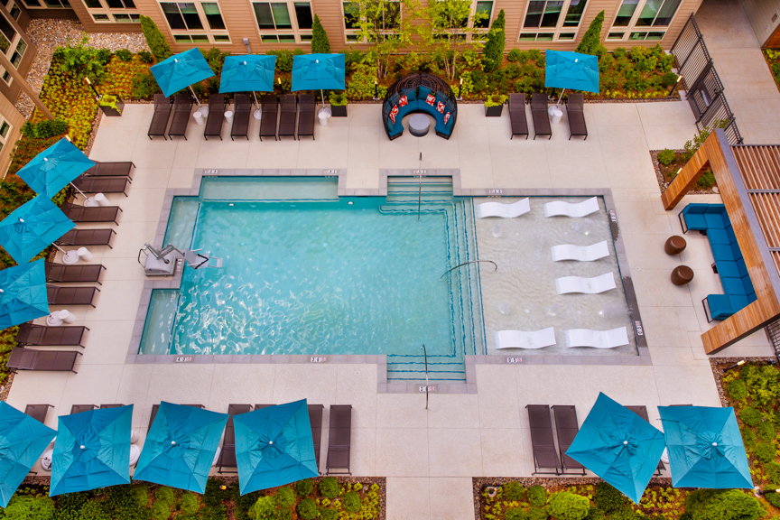 aerial of pool - South Alex Apartments